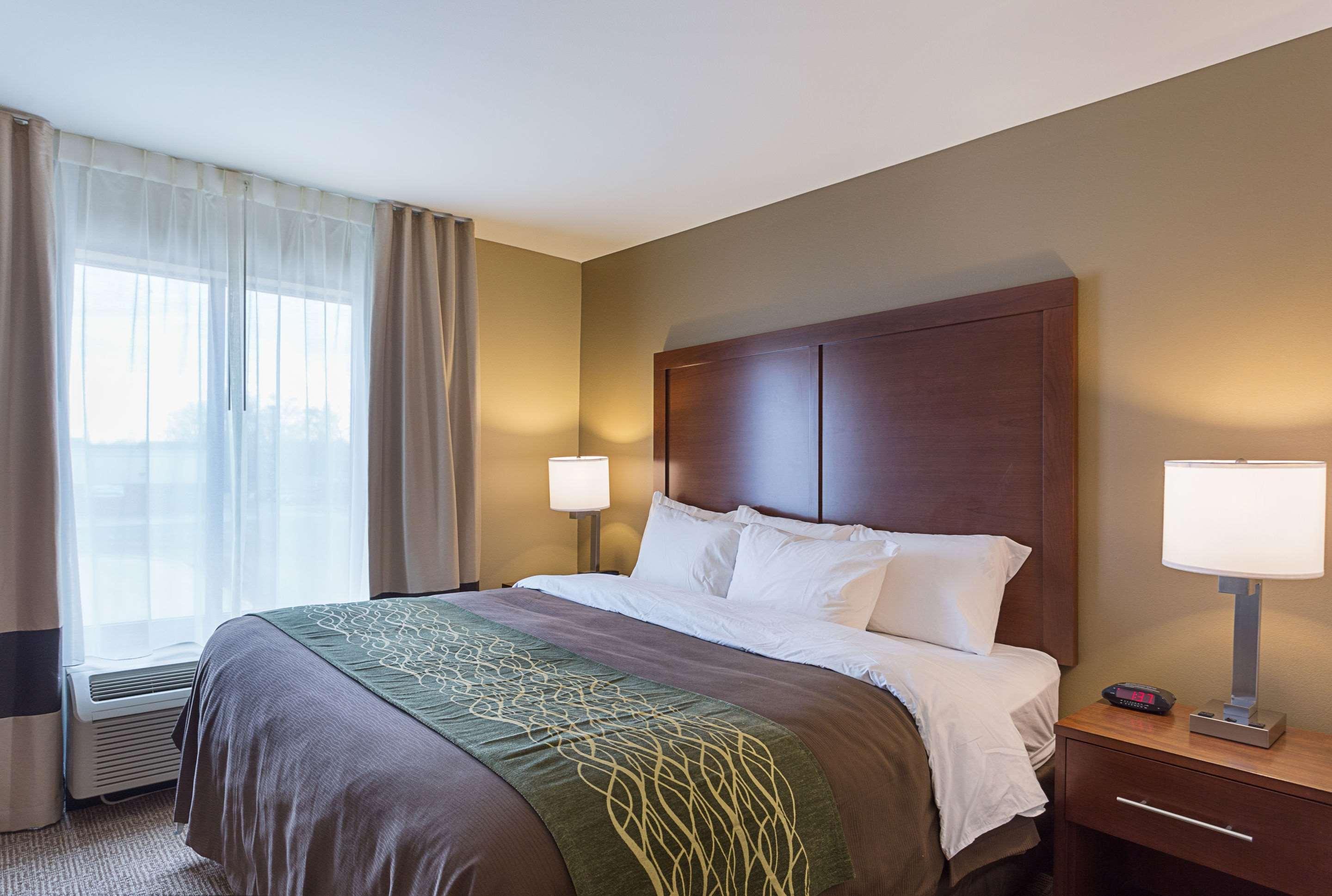 Comfort Inn & Suites Zachary Dış mekan fotoğraf