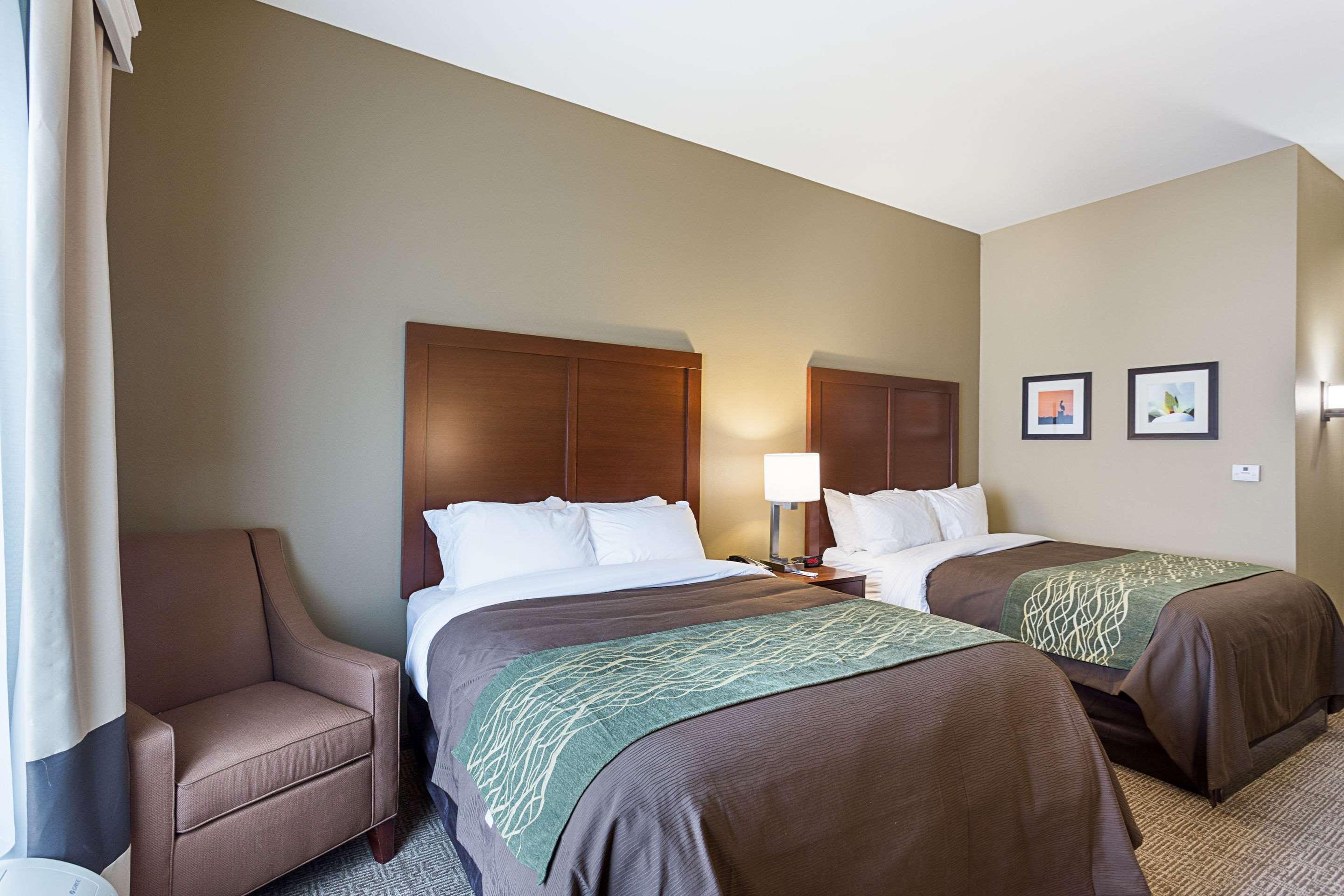 Comfort Inn & Suites Zachary Dış mekan fotoğraf